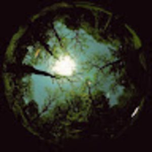 Meet your Posher, Ella